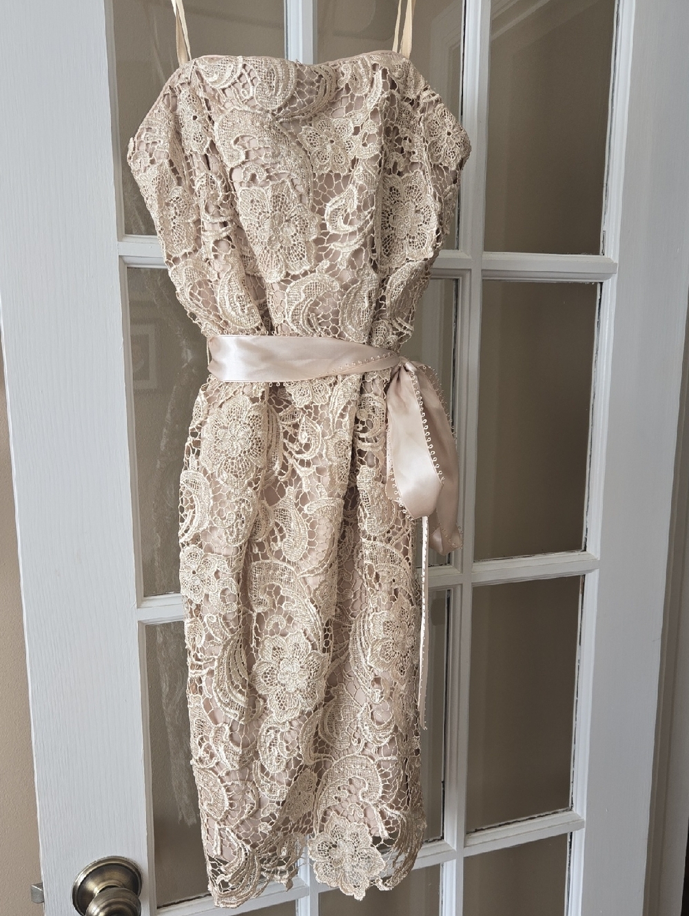 Adrianna Papell Lace Midi Dress in Champagne